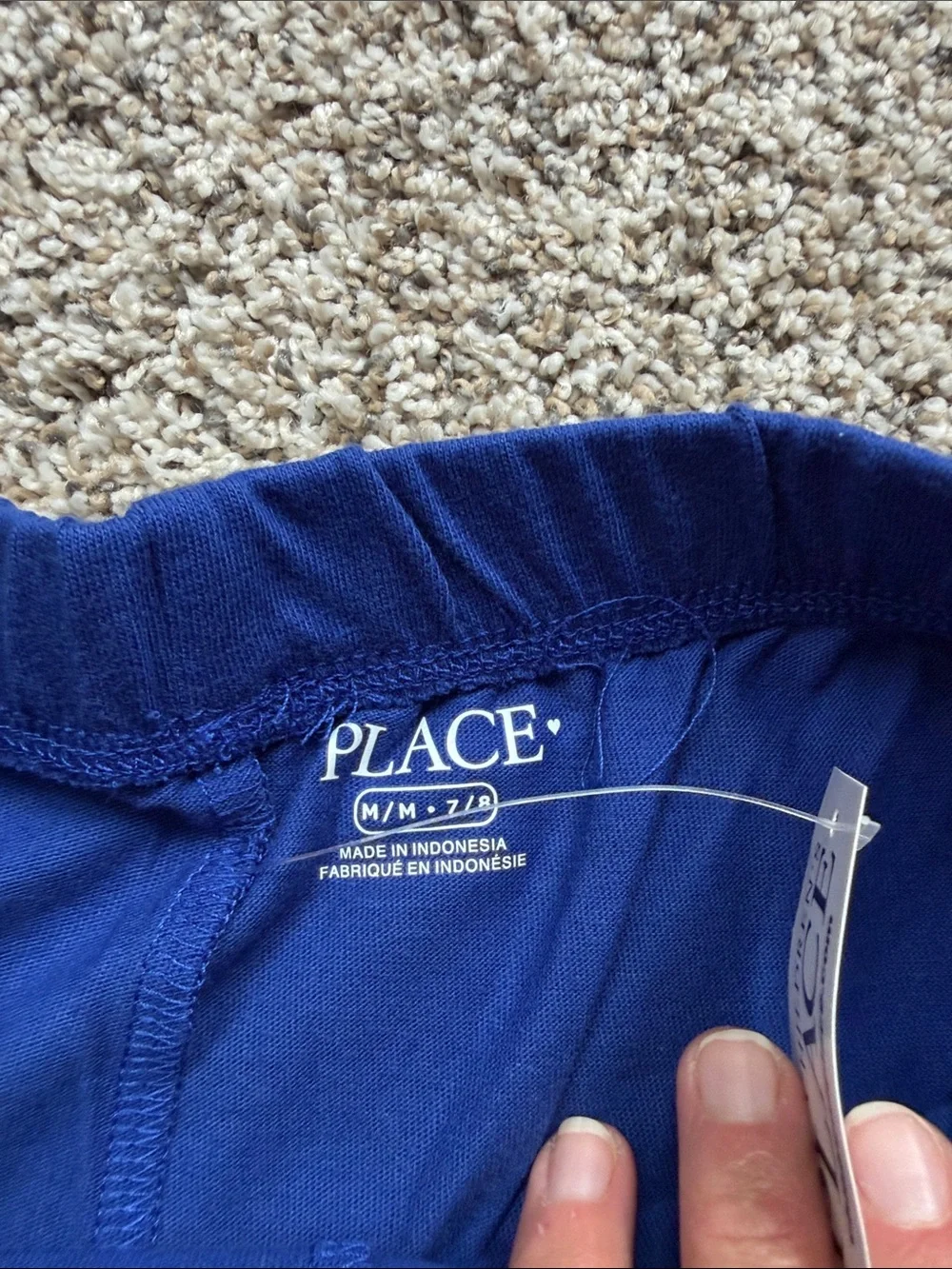 The Childrens Place breathable royal